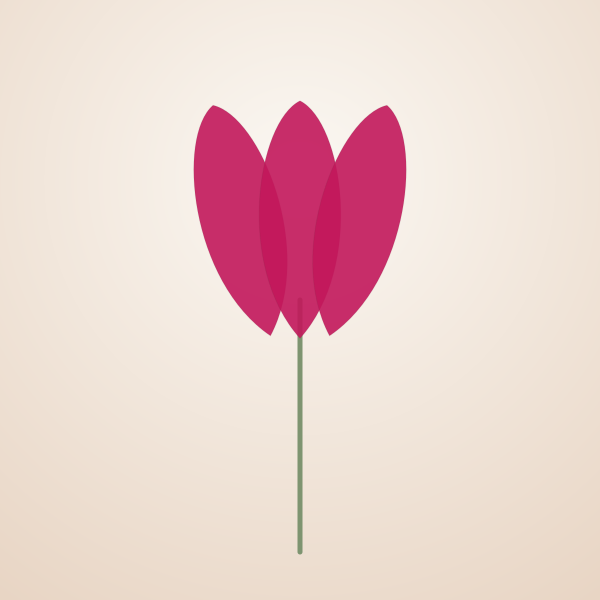 Tulip
